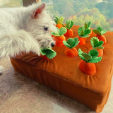 Upmerx™ Pet Carrot Farm