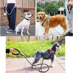 Upmerx™  Easygrip Dog Leash